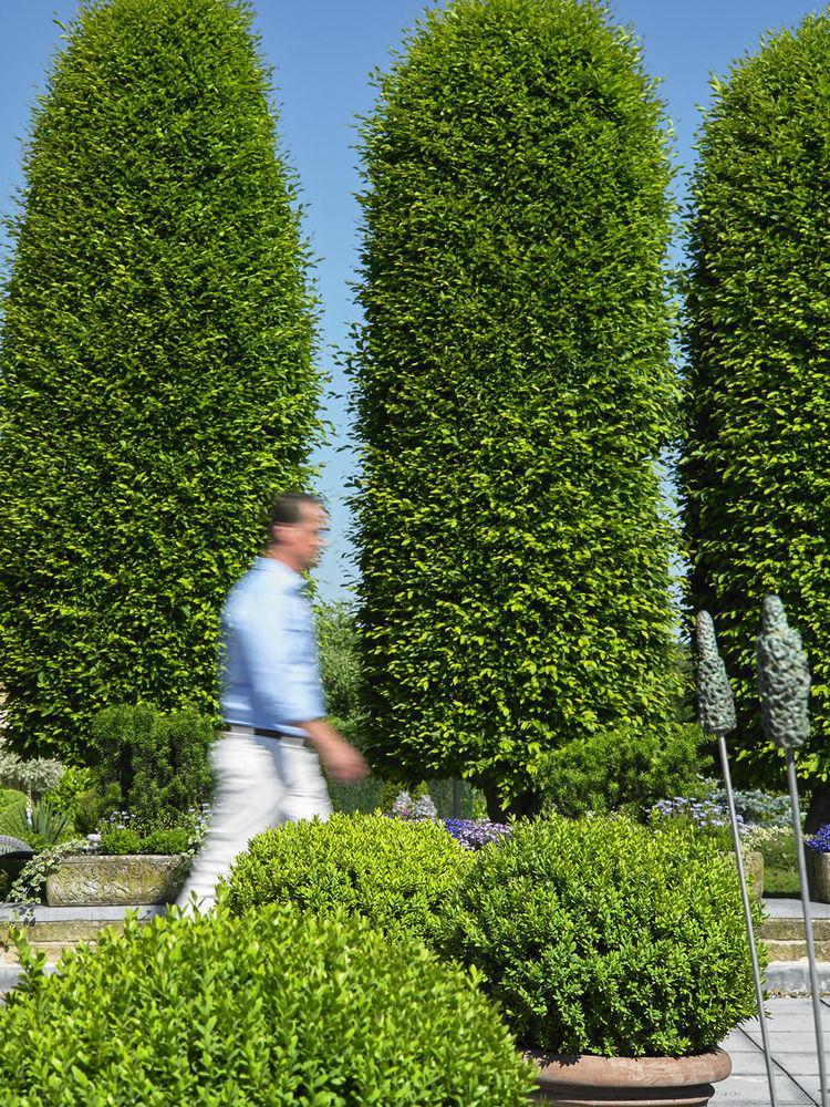 Romantik Parkhotel Het Gulpdal Slenaken Exteriér fotografie